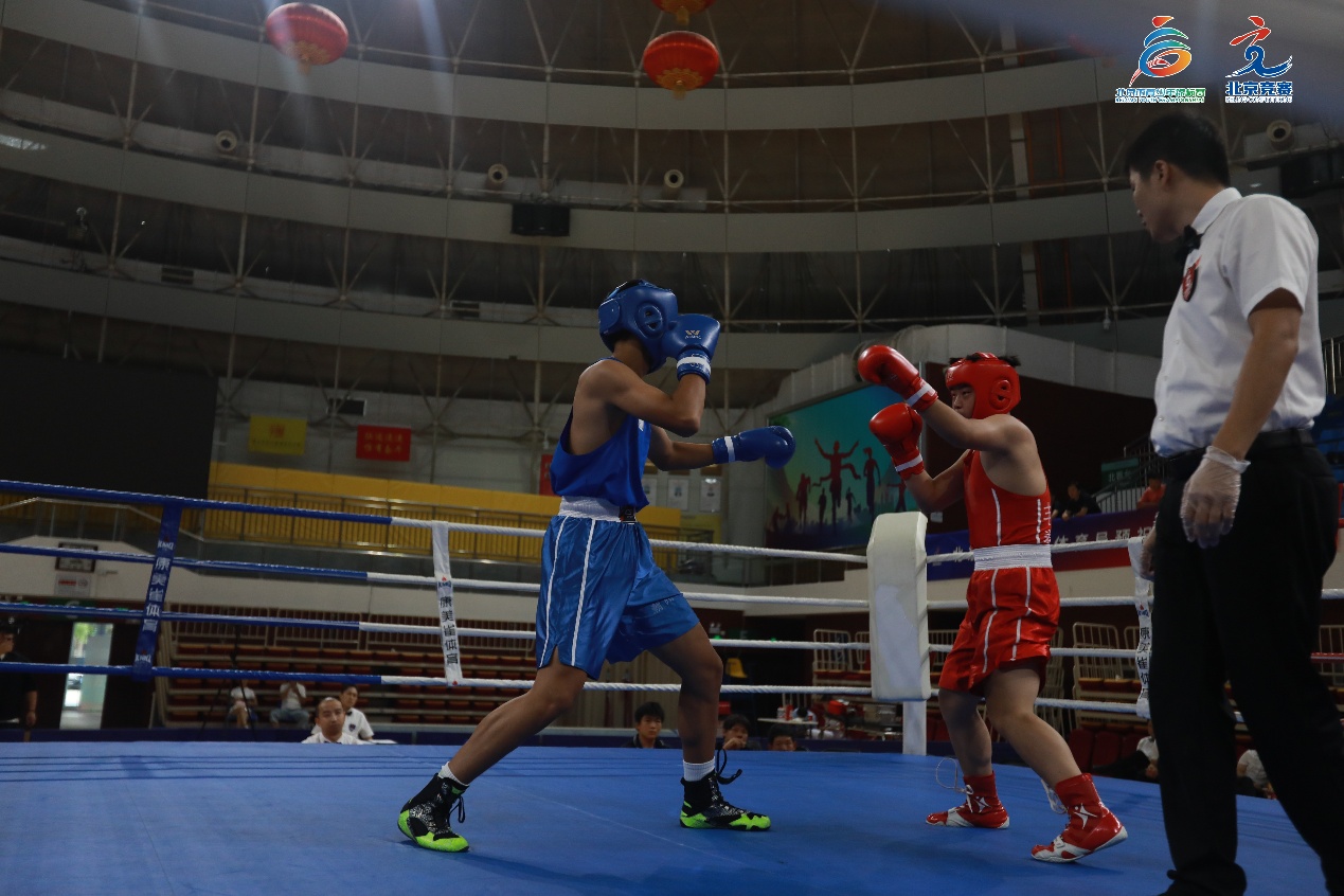 个重量级别, 少年拳击锦, 增强 个重量级别, 少年拳击锦, 增强