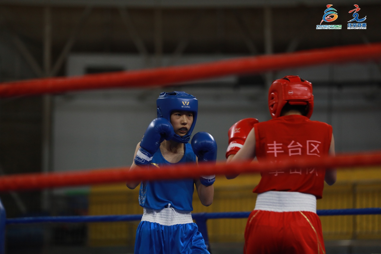 少年拳击锦 少年拳击锦