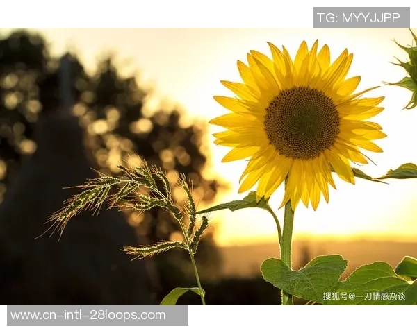 吉文:加纳乔穿得歪歪斜斜、链子挂外面,他换下的情绪让我很不爽